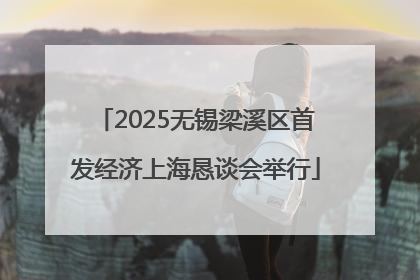 2025无锡梁溪区首发经济上海恳谈会举行